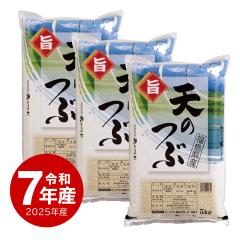 �z��̈�䉮 �� 15kg �V�̂� ���� 15�L�� �ߘa7�N�Y ����ʓr����