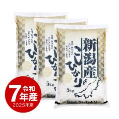 �� �ߘa7�N�Y �V���Y�R�V�q�J�� 15kg ���� 15�L�� �������� (����̂���)