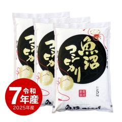 �� 15kg �����Y�R�V�q�J�� �ߘa7�N�Y ���� �����Ђ��� �������� �Y�� ���� ���� 5kgx3�� ������ւ͕ʓr����