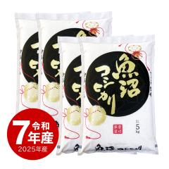 �� 20kg �����Y�R�V�q�J�� �ߘa7�N�Y ���� �����Ђ��� �������� �Y�� ���� ���� 5kgx4�� ������ւ͕ʓr����