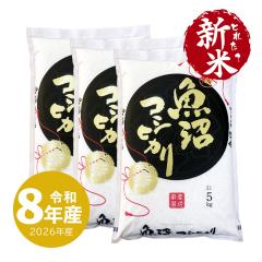 �V�� �����Y�R�V�q�J�� 15kg ���� 15�L�� �ߘa8�N�Y ����ʓr����