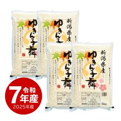 �z��̈�䉮 �� 20kg �V���Y �䂫��q�� ���� 20�L�� �ߘa7�N�Y ����ʓr����