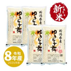 �z��̈�䉮 �V�� 20kg �V���Y �䂫��q�� ���� 20�L�� �ߘa8�N�Y ����ʓr����