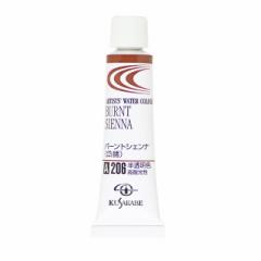 [ [։ ] NTJx ƗpʊG 206 o[gVFi / Burnt Sienna 2 5mL 1{