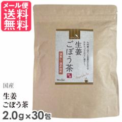 国産生姜ごぼう茶 2.0g×30包入り ごぼう茶 国産 無漂白 ティーバッグ 送料無料 yp2