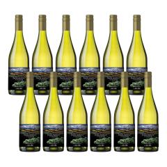 コカレロ ヴィーダ 700ml × 2本 正規品 沖縄配送不可の通販はau PAY