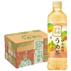  �T���g���[ �Β� �ɉE�q�� ���ߒ� 600ml�~1�P�[�X/24�{