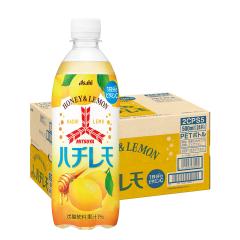 �A�T�q �O�c�� �n�`���� 500ml�~1�P�[�X/24�{