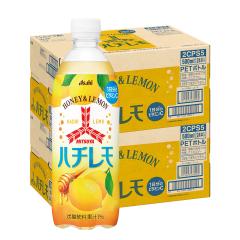�A�T�q �O�c�� �n�`���� 500ml�~2�P�[�X/48�{