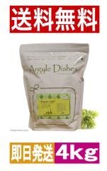 �������������yArgyle Dishes�z�A�[�K�C���f�B�b�V�� �E�B�X�e���A�E�A�_���g 4kg �h�b�O�t�[�h 