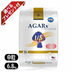 A[e~X AKNXC~[T|[g  6.8kg hbOt[h Artemis Iׂv[gt