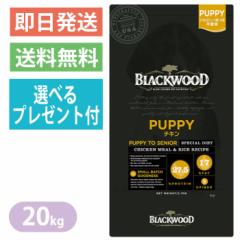 yIׂv[gtzubNEbh PUPPY `L 20kg ps[ hbOt[h S@`V BLACKWOOD 