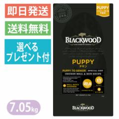 yIׂv[gtzubNEbh PUPPY `L 7.05kg ps[ hbOt[h S@`V BLACKWOOD