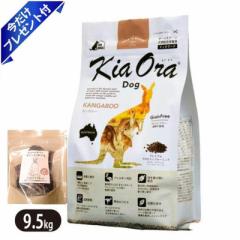 LAI JK[ 9.5kg r[tW[L[t hbOt[h  KiaOra ᎉb ^pN RXe[
