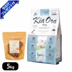 LAI T[ 5kg r[tW[L[t hbOt[h wV[ KiaOra