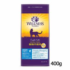 5000~ȏゲwőyWELLNESSzEFlX  sgp Lp(1Έȏ) `L 400g Lbgt[h