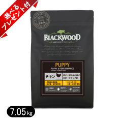 �y�I�ׂ�v���[���g�t���z�u���b�N�E�b�h PUPPY �`�L�� 7.05kg �p�s�[ �h�b�O�t�[�h �S����@������`�V��� BLACKWOOD