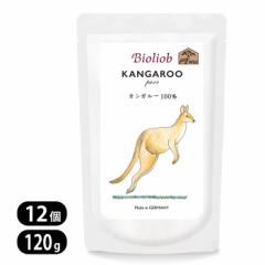 rII[u sA JK[ 120g 12Zbg Bioliob Lp EFbgt[h ELph{⏕H hbOt[h Lbgt[h 