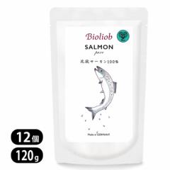 rII[u sA T[ 120g 12Zbg Bioliob  Lp EFbgt[h ELph{⏕H hbOt[h Lbgt[h