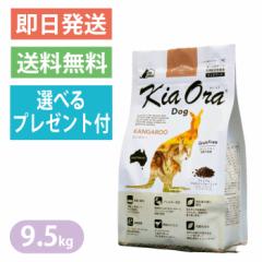 LAI JK[ 9.5kg hbOt[h  KiaOra ᎉb ^pN RXe[ Iׂv[gt