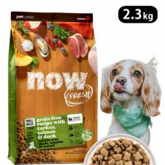 iEtbV OCt[ X[u[h VjAEFCg}lWg 2.3kg  hbOt[h NOW FRESH ̏dǗ