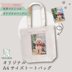 �s�����̂��̂��ʐ^�ō���t�����̂����Ă� �I���W�i��A4�T�C�Y�R�b�g���g�[�g �I���W�i���o�b�O �g�[�g�o�b�O �����̎q�O�b�Y �ʐ^ �y