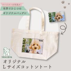 �s�����̂��̂��ʐ^�ō���t�����̂����Ă� �I���W�i��L�T�C�Y�R�b�g���g�[�g �I���W�i���o�b�O �g�[�g�o�b�O �����̎q�O�b�Y �ʐ^ �y