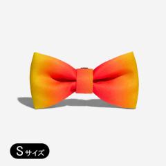 yzee.dogzW[hbO CITRUS BOWTIE STCY {E^C lN^C