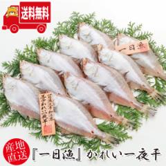 (�n����著������) ���x���X �w������x���ꂢ��銱 900g�q8�`12���r�Ⓚ �����Z�b�g �M�t�g(sot121)