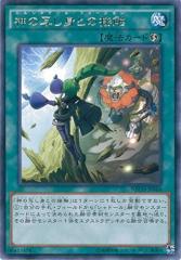 ブリーチ シーズン12 (斬魄刀異聞篇 刀獣篇) コンプリート DVD-BOX
