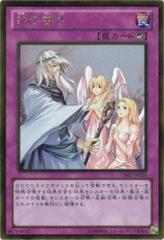 マブラヴオルタネイティヴ DVD-ROM版 リニューアルパッケージ(中古品