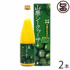 RV[N[T[ 720ml~2{  lC yY 厡オfÏ V[N[T[ t 100%