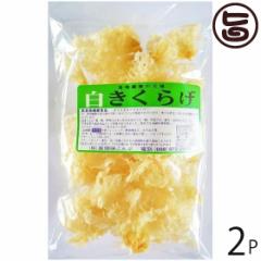 Ԗ 炰 50g~2P  yY lC LNQ LNQ ؎ R[Q h{Lx