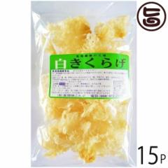 Ԗ 炰 50g~15P  yY lC LNQ LNQ ؎ R[Q h{Lx