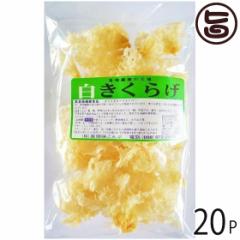 Ԗ 炰 50g~20P  yY lC LNQ LNQ ؎ R[Q h{Lx