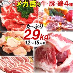 ���K���� 2.9kg BBQ �o�[�x�L���[ �� �Z�b�g �ē� ���� 10�l�O�ȏ� ��l���p  ���J���r �،����[�X �؃o�� �{���� 4��{����������̃^��