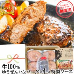 [��������] �M�t�g�ɂ� ������� ���Y�� ���� 100% �䂤���� �n���o�[�O150g�~4��(2�^��~2)  �����\�[�X �Z�b�g ���p�I�� �� �y�� ��