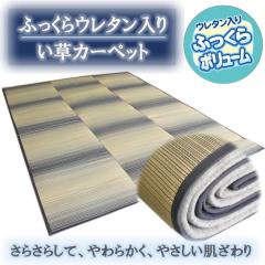 �]�ˊԂP�O�� 348x440cm �ӂ�����E���^�����@�����J�[�y�b�g�u�������v�u���[�F