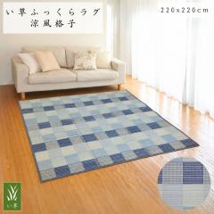 �����ӂ����烉�O �����i�q 220x220cm 4.5���p ���ʕs�D�z �E���^��10mm�� ����₩�Ȏs����