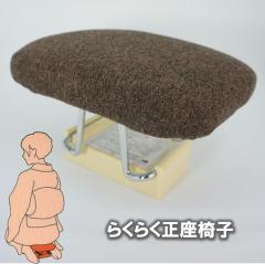 �炭�炭�����֎q �u���E�� ���[�⎝���^�тɕ֗� �r���Œ肷����S�݌v SEI-�~�X�gBR