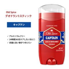 お得な6本セット Old Spice オールドスパイス フィジー デオドラント