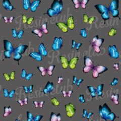 Resin club(���W���N���u) ���W�� ���� �V�[�� ���ߍ��݃��W���V�[�� �o�^�t���C�A�\�[�g �J���t