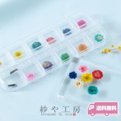 �y���������z�h���C�t�����[ �����p�[�c �_���A ��10�`13mm 12�F�~�e�P ���v12�P�Z�b�g ��1cm �W�F���l�C�� �� ���W���p�[�c ���W����