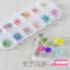 �y���������z�h���C�t�����[ �����p�[�c ���[�X�t�����[�ƃ��[�t �W�F���l�C�� �� ���W���p�[�c ���W���ޗ� �A�N�Z�T���[�p�[�c �p�[�c 