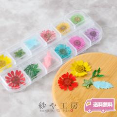 �y���������z�h���C�t�����[ �����p�[�c �Ђ܂�� ���[�t MIX�J���[ 4��MIX�Z�b�g ���W���ޗ� �W�F���l�C�� ���R�f�� �ԕ� ������ �A�N�Z