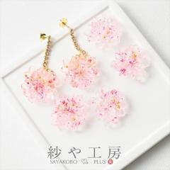 �\��t�� �`���[�� �J�{�V���� �� �A�N�Z�T���[ �p�[�c �s���N 24mm 4�� �t�����[ �\�t �A�N���� �A�N������ �A�N�����`���[�� �A�N����