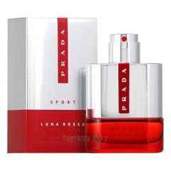 v_ PRADA ibT X|[c 50ml EDT SP fs y Yzy[zyZ[z