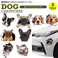 �J�[�X�e�b�J�[ �� �V�[�� ���킢�� ���� �A�j�}�� �h���X�A�b�v �� �o�C�N �J�[�p�i �X�e�b�J�[ �J�[�X�e�b�J�[ ���B�� ���� PR-DOGST02