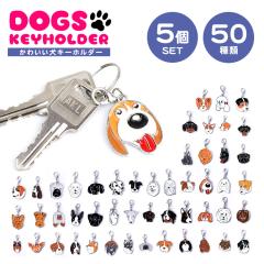 5Zbg S50 hbOL[z_[  hbO Vv y Jrit  Aj} `[  X PR-KEYHOL16STy