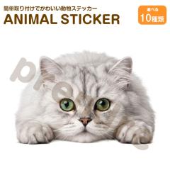 �L �X�e�b�J�[ �~�k�G�b�g ������L ���킢�� ���� �A�j�}�� �V�[�� �J�[�X�e�b�J�[ �h���X�A�b�v �� �o�C�N �J�[�p�i ���B��